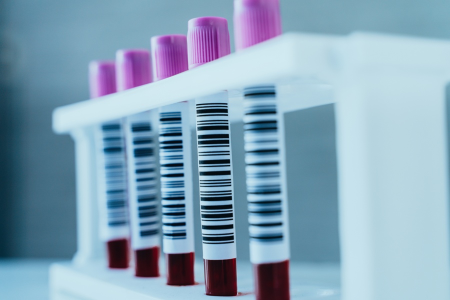 Paternity Testing Options in Houston and What You Can Do After Getting the Results